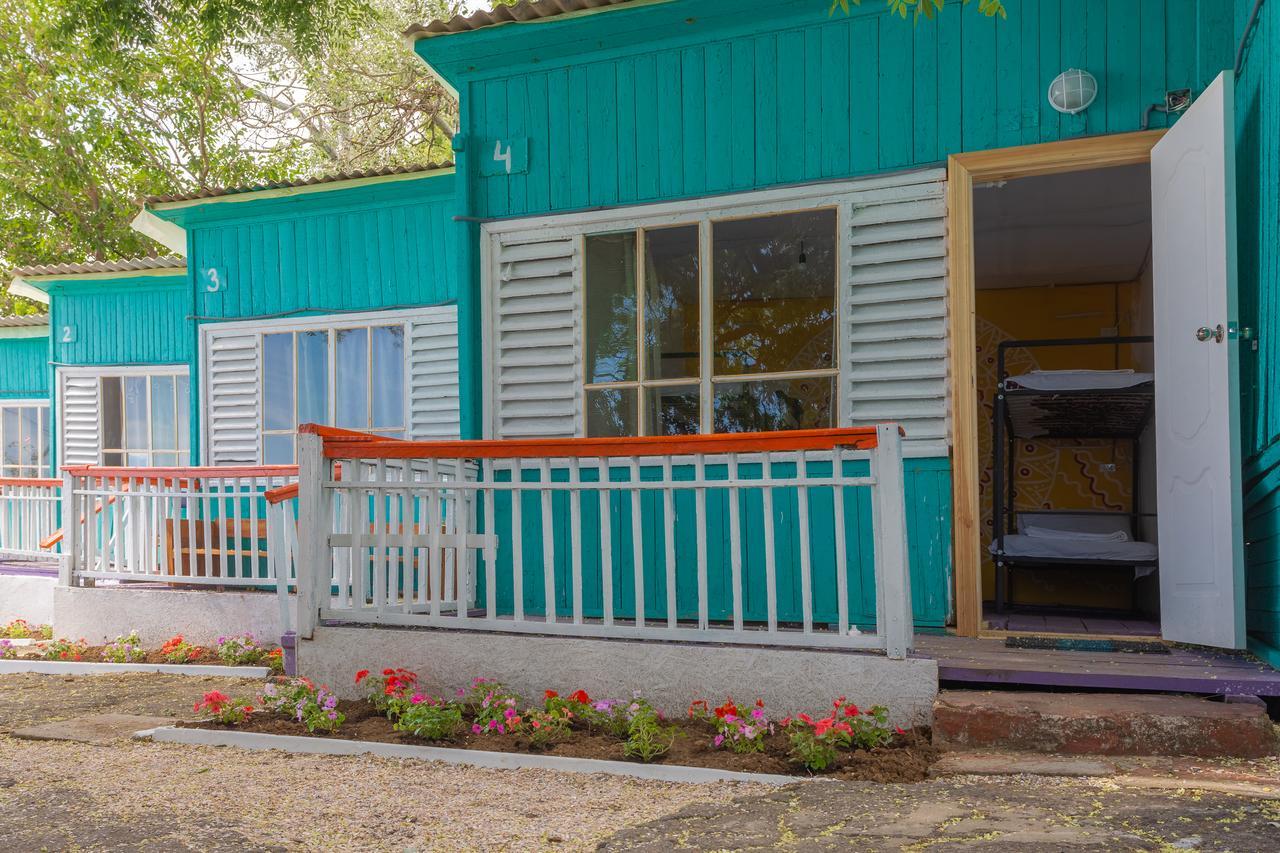Steller Hostel & Camping 敖德萨 外观 照片